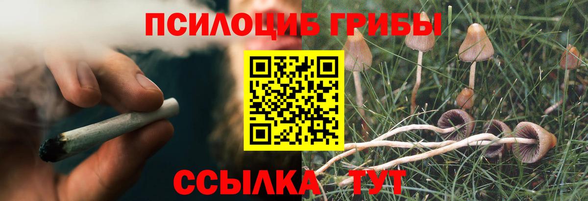 Йошкар-Ола  продажа наркотиков  Вход с VPN  Галлюциногенные грибы Psilocybine cubensis 